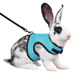Vest-Style Carrier Bag with Harness & Leash Set for Rabbits