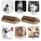 33-Pack Catnip & Silvervine Chew Sticks with 3 Bonus Mouse Toys — Natural Cat Dental Set