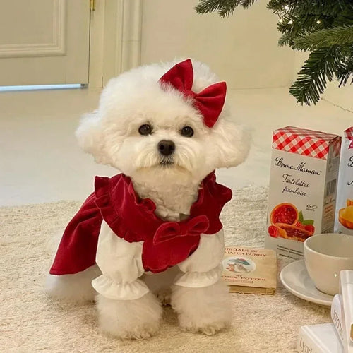 Puppy Bow Knot Princess Dress (Winter Warm Christmas Outfit)
