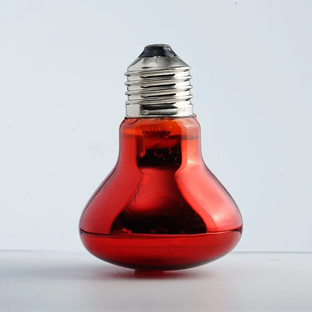 E27 Infrared Heat Bulb for Reptiles & Poultry — 25W-100W, Day & Night Use