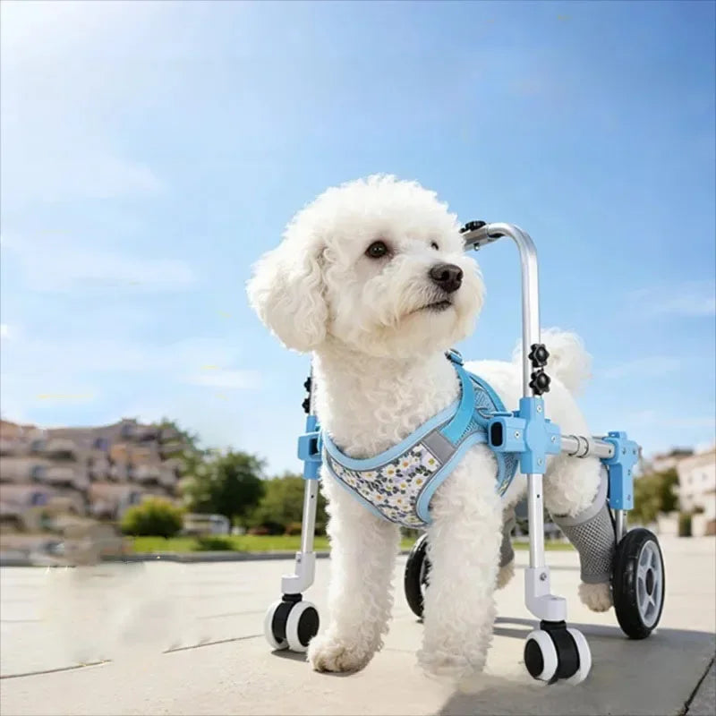 Adjustable Pet Wheelchair Mobility Aid with Wheels for Disabled & Rehabilitating Dogs & Cats