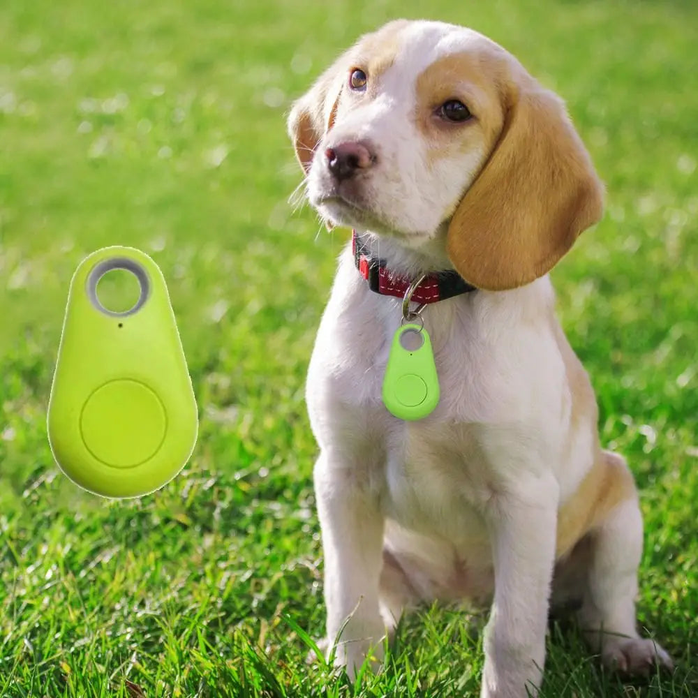 Portable Bluetooth 5.0 Pet GPS Tracker with Anti-Loss Alarm - Wireless Smart Locator