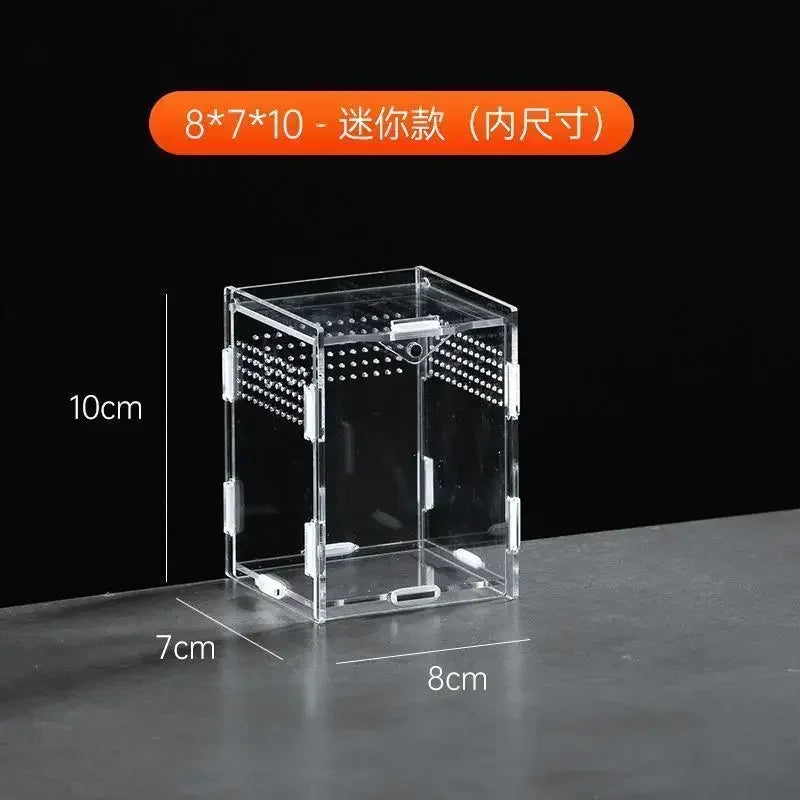 Acrylic Nano Terrarium — Ventilated Enclosure for Tarantulas & Small Reptiles