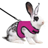 Vest-Style Carrier Bag with Harness & Leash Set for Rabbits