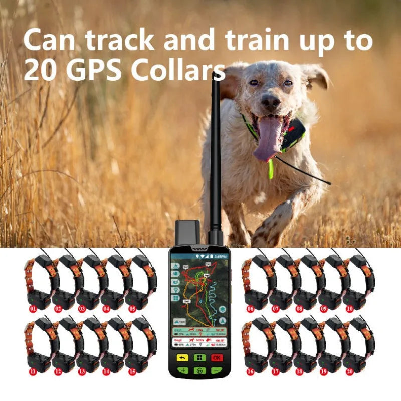GPS Dog Collar with Radio Tracking - Long-Range Real-Time Locator for Hunting Dogs