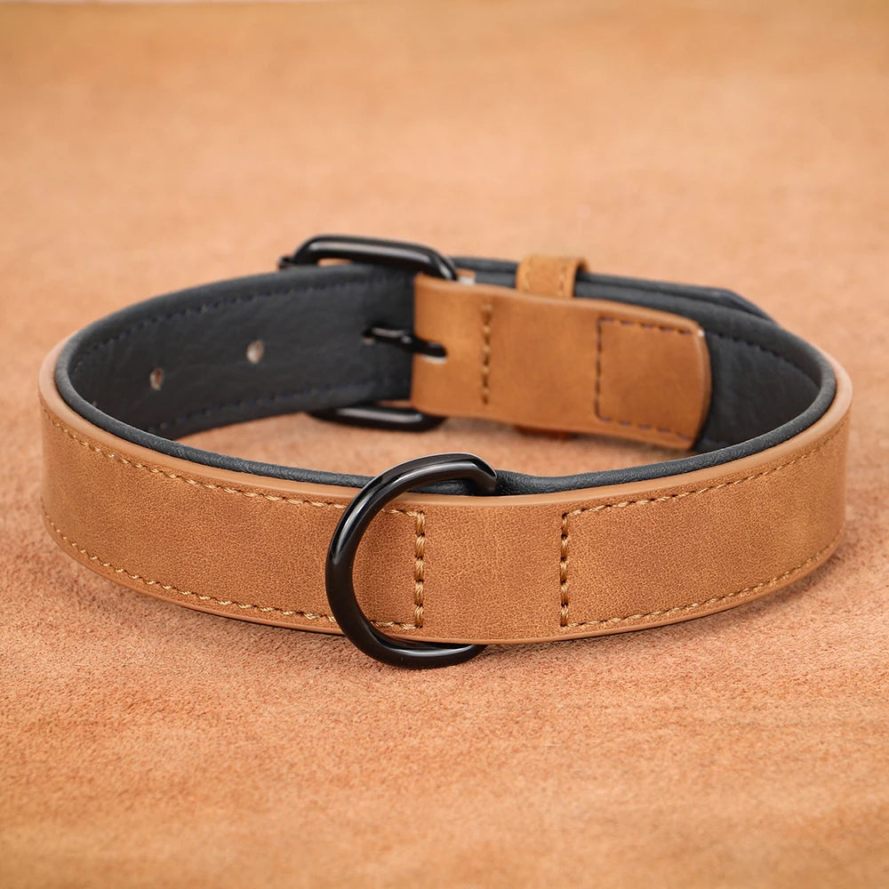 Padded Leather Dog Collar