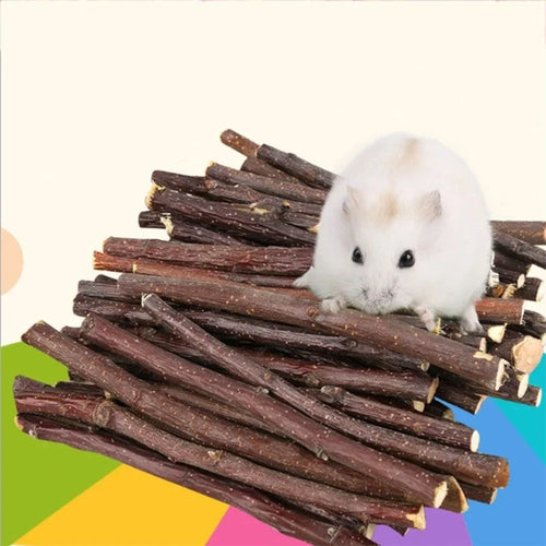 Natural Apple Wood Chew Sticks — Teeth Grinding Sticks for Small Pets