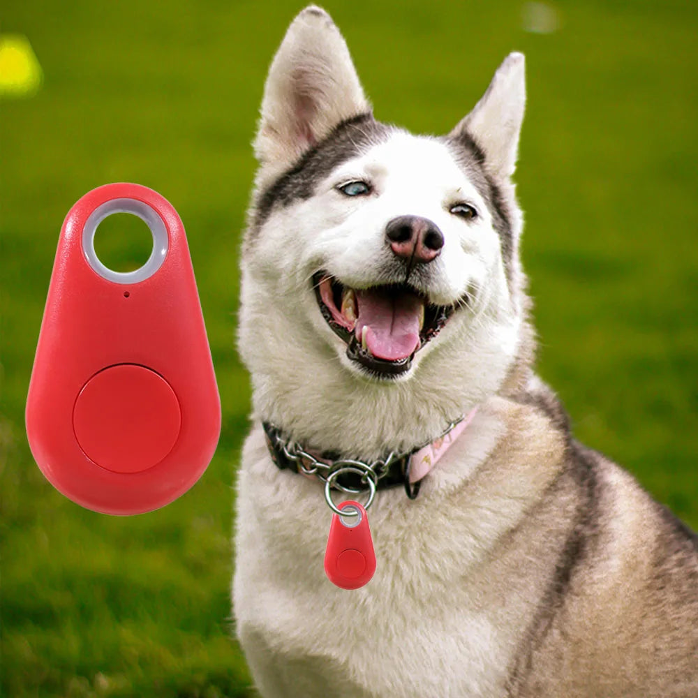 Portable Bluetooth 5.0 Pet Locator with Anti-Lost Alarm