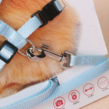 Soft Rabbit Harness & Leash Set — Adjustable Traction Rope with Bell