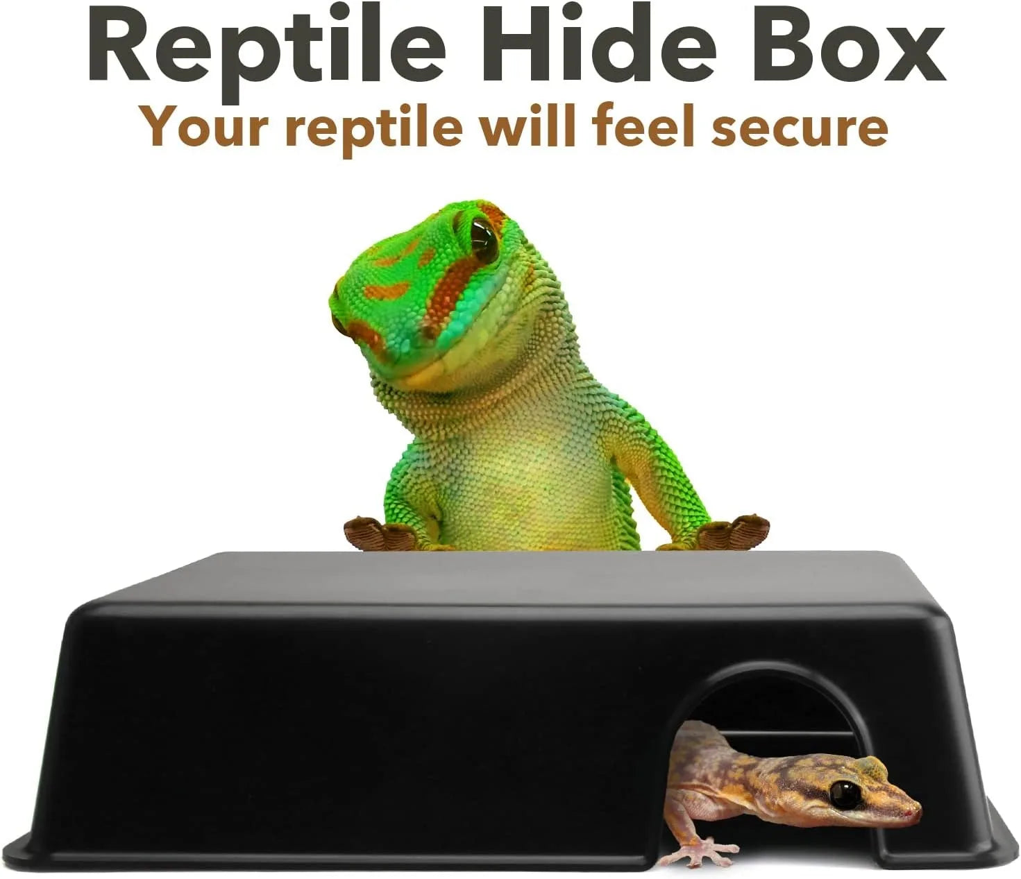 Ventilated Reptile Hide Box — Rectangular Shelter for Geckos, Snakes & Spiders