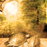 UVA/UVB Basking Bulb for Reptiles — E27 Sunlight Heat Lamp