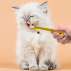 6-Pack 7.87" Catnip Chew Rope Cat Toy Set — Interactive Teeth Cleaning & Play Ropes
