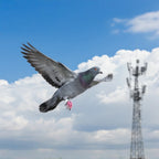 IP67 Waterproof 2.5g Racing Pigeon GPS Tracker - GLONASS/GSM Leg Band with 160-Hour Battery