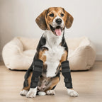 Dog Elbow Leg Brace - 1 Pair, Adjustable, Flexible Fabric