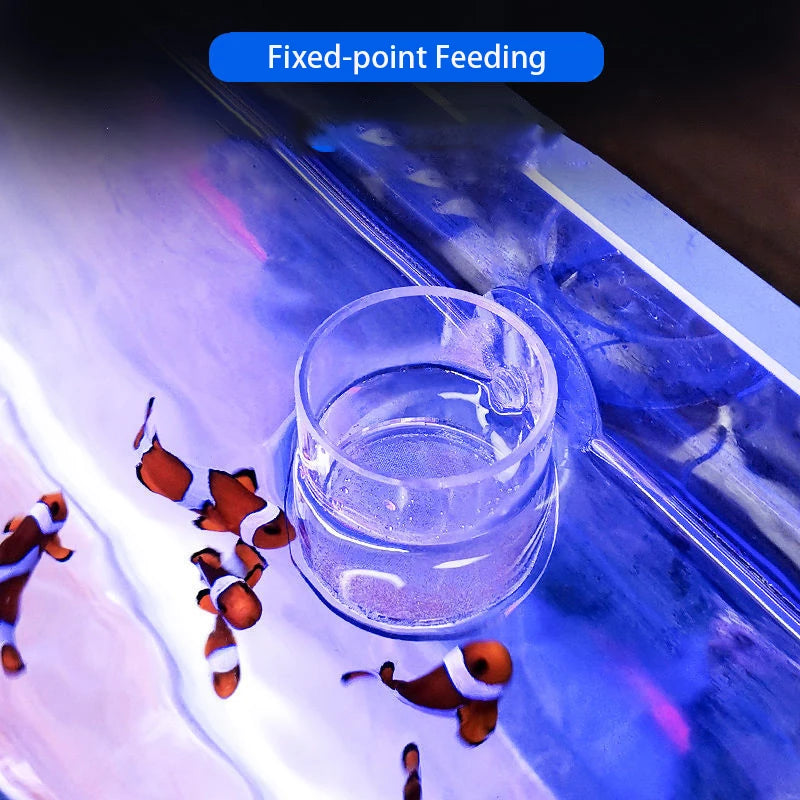 Acrylic Aquarium Fish Feeding Ring (Anti-Drift, Transparent, Floating)