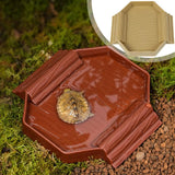 Tortoise Water Dish with Ramp — Anti-Slip Bath & Feeding Tub for Tortoises & Geckos