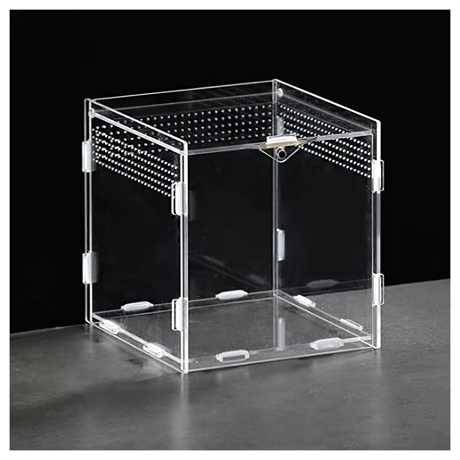 Stackable Acrylic Reptile Feeding Box — Buckle-Splicing Habitat for Small Pets