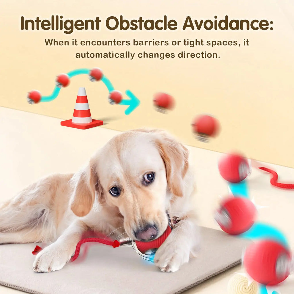 Auto Rolling Ball Cat Toy with Tail — Rechargeable Smart Mouse Teaser