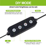 Dimmable Aquarium LED Light with Timer (30–60cm, Power-Off Memory, Plants)