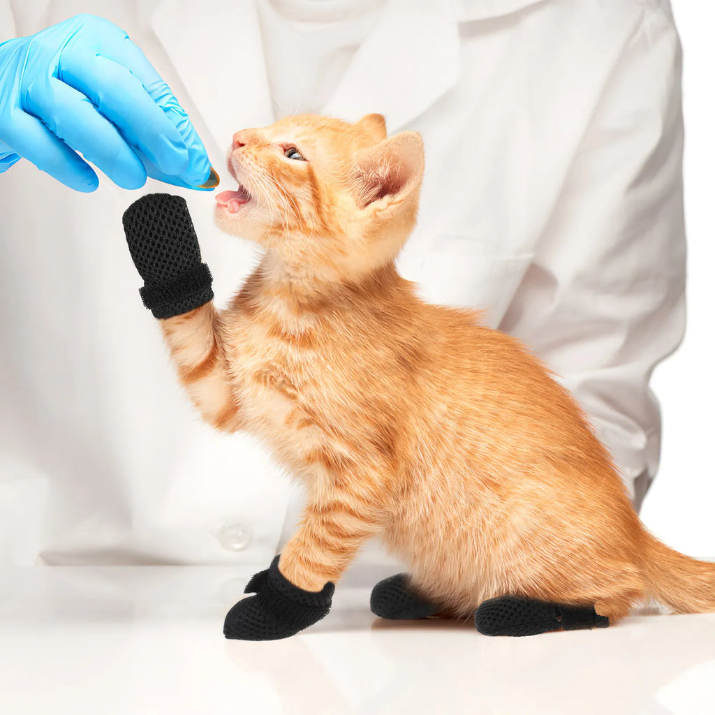 Adjustable Cat Paw Protective Booties — Anti-Scratch Covers for Grooming & Vet Visits