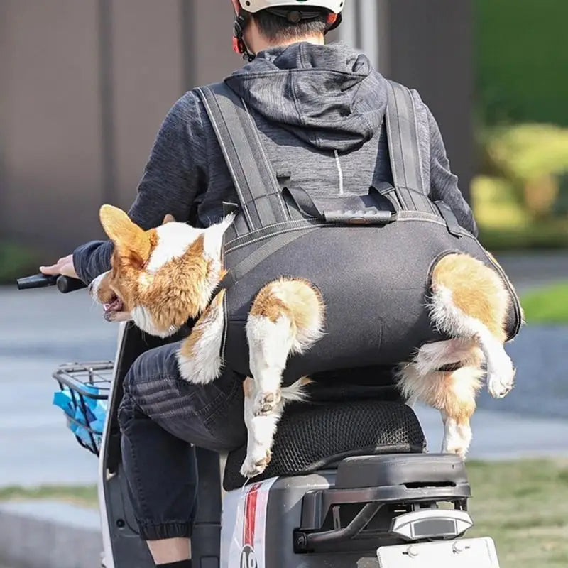 Senior Dog Lift Sling Harness (Leg Support, Adjustable, Long Trips)