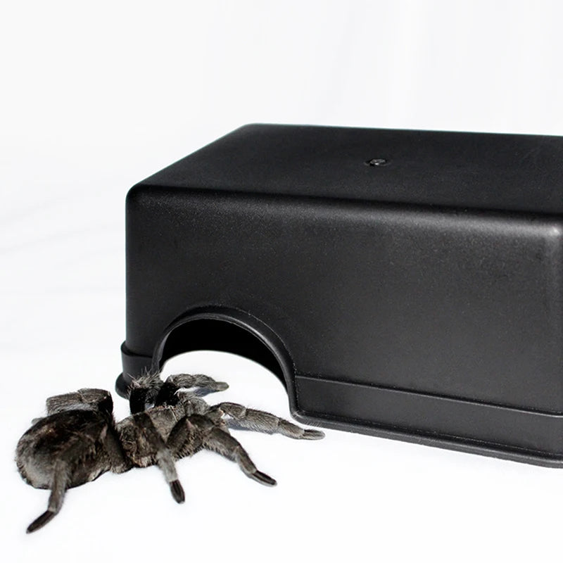 Reptile Hiding Cave — Basking Hide for Turtles & Lizards, S/L