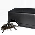 Reptile Hiding Cave — Basking Hide for Turtles & Lizards, S/L