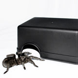 Reptile Hiding Cave — Basking Hide for Turtles & Lizards, S/L