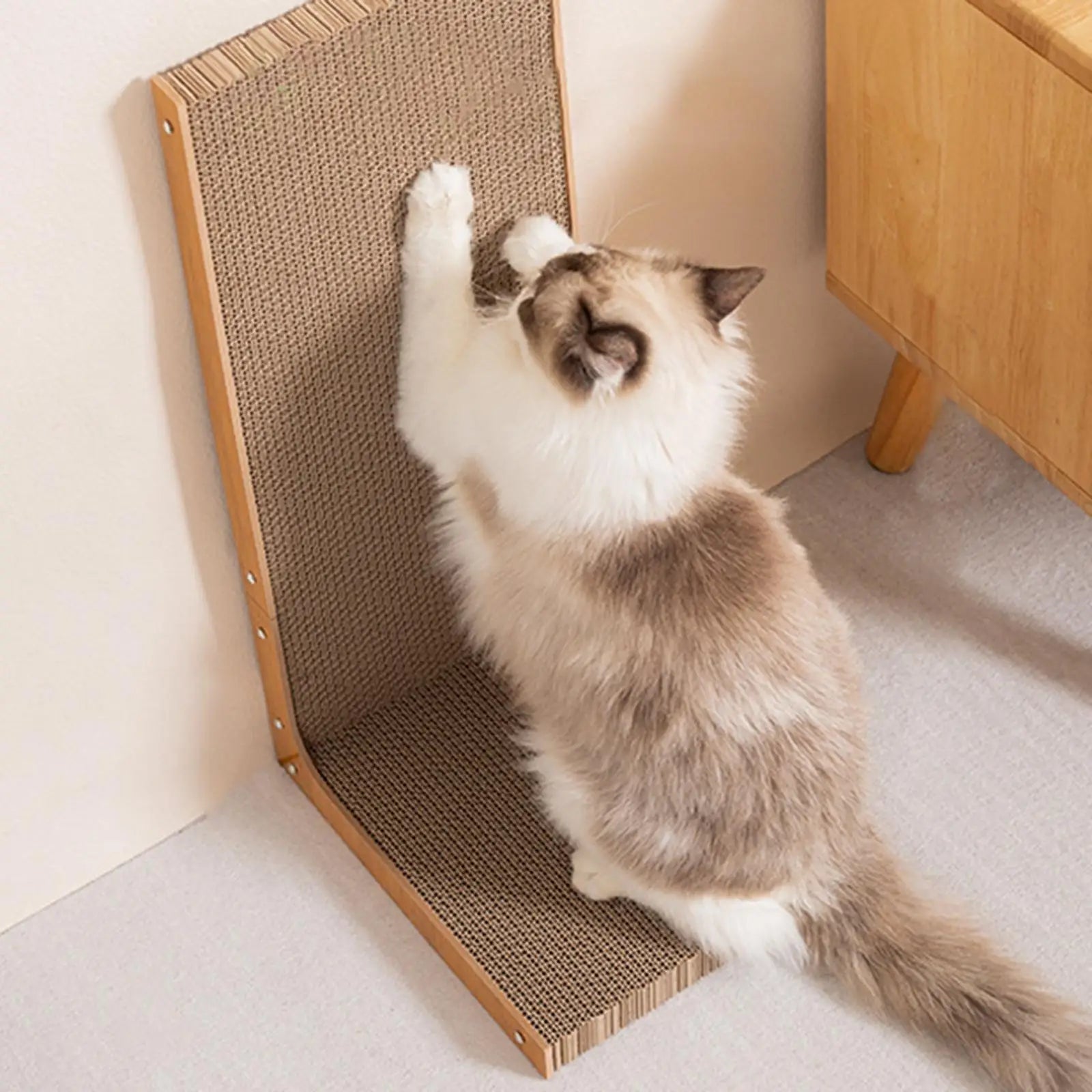 Large Cardboard Cat Scratcher & Nest Bed — Full-Stretch Scratch Pad