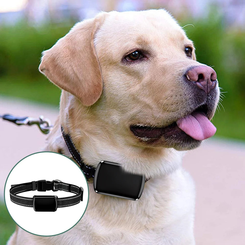 Smart GPS Cat Collar with Adjustable Fit - Real-Time Anti-Loss Tracking