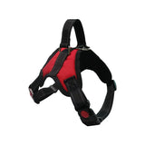 Adjustable Dog Harness & 150cm Leash Set — Reflective Design