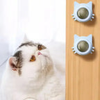Catnip Ball Cat Treats