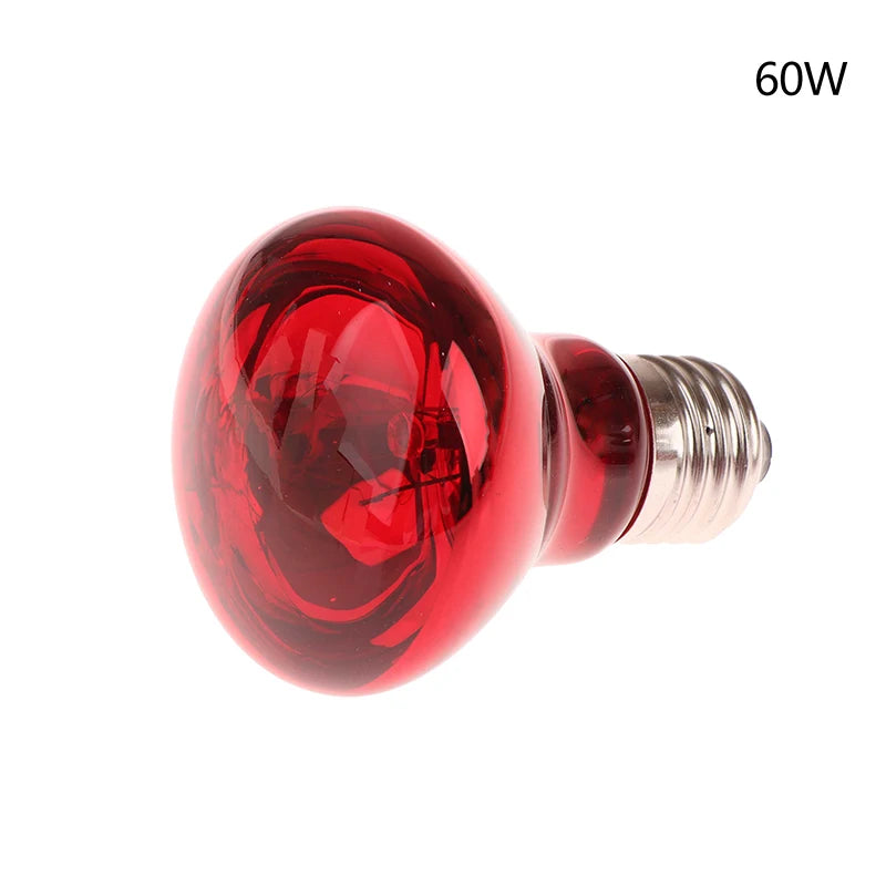 E27 Infrared Basking Bulb — Day & Night Heat Light, 25W–100W