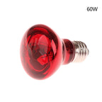 E27 Infrared Basking Bulb — Day & Night Heat Light, 25W–100W
