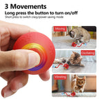 Motion-Activated Self-Rotating Cat Ball — Fast-Rolling Interactive Exerciser