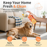 Citrus Enzymatic Stain & Odor Remover — Eliminates Pet Urine Odor from Carpets & Upholstery