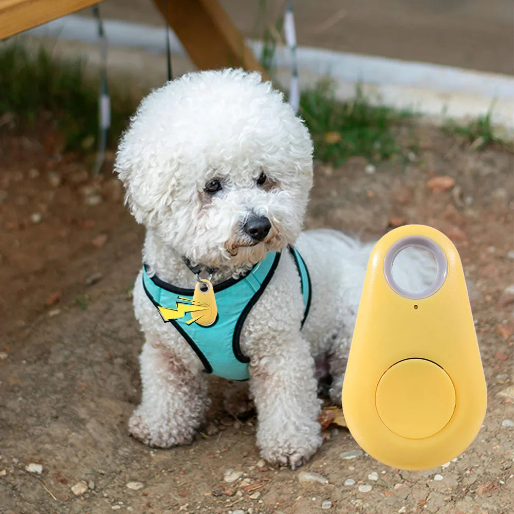 Wireless Bluetooth 5.0 Pet GPS Tracker with Anti-Loss Alarm - Portable Smart Locator