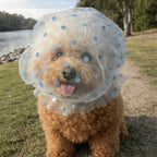 Pet Anti-Mosquito Headgear (Breathable Mesh, Adjustable, Love/Wave Pattern)