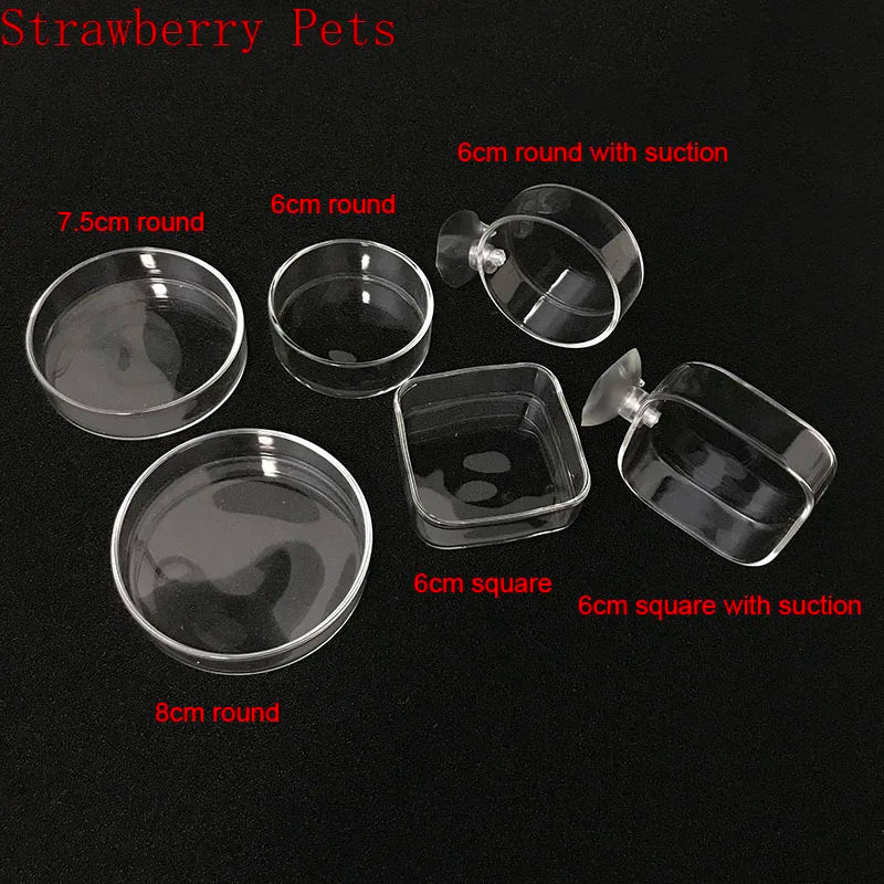 Glass Aquarium Shrimp Feeding Ring & Feeder Dish (Transparent, Floating, Bottom)