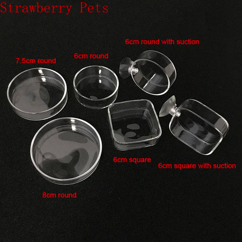 Glass Aquarium Shrimp Feeding Ring & Feeder Dish (Transparent, Floating, Bottom)