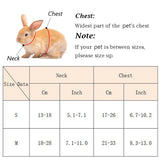 Guinea Pig & Rabbit Harness Set — Breakaway Walking Leash