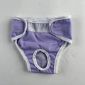 Reusable Dog Physiological Pants (Leak-Proof, Breathable, Adjustable)