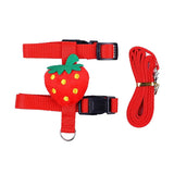 Small Pet Harness & Leash Set — Fun Fruit-Themed Design for 1-2kg Pets