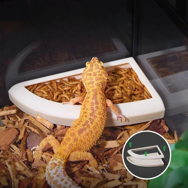 Anti-Escape Mealworm Feeding Container — Reptile & Small Pet Feeder