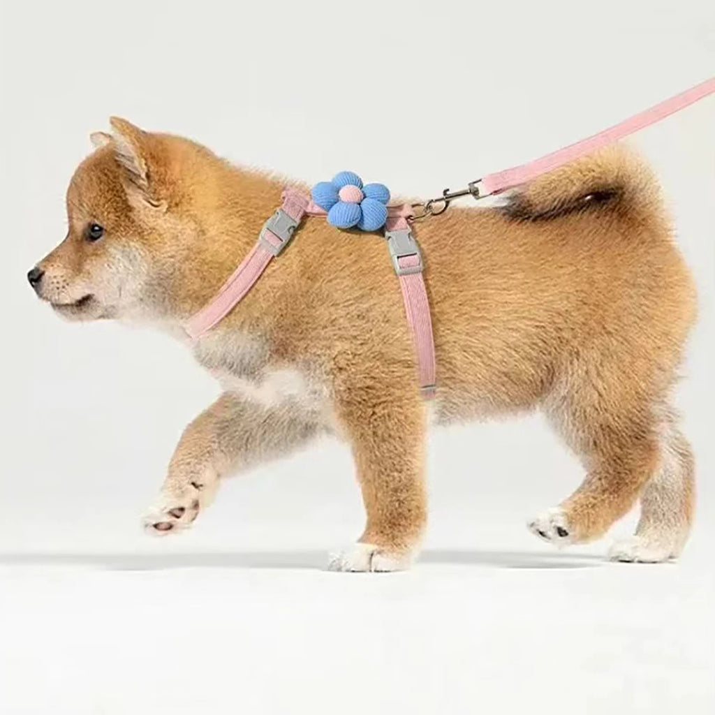 Step-In Harness & Leash Set for Cats & Dogs