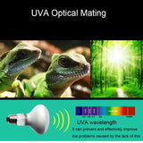 UVA+UVB Heating & Calcium Bulb — Waterproof Basking Lamp, 25W-100W, 220V