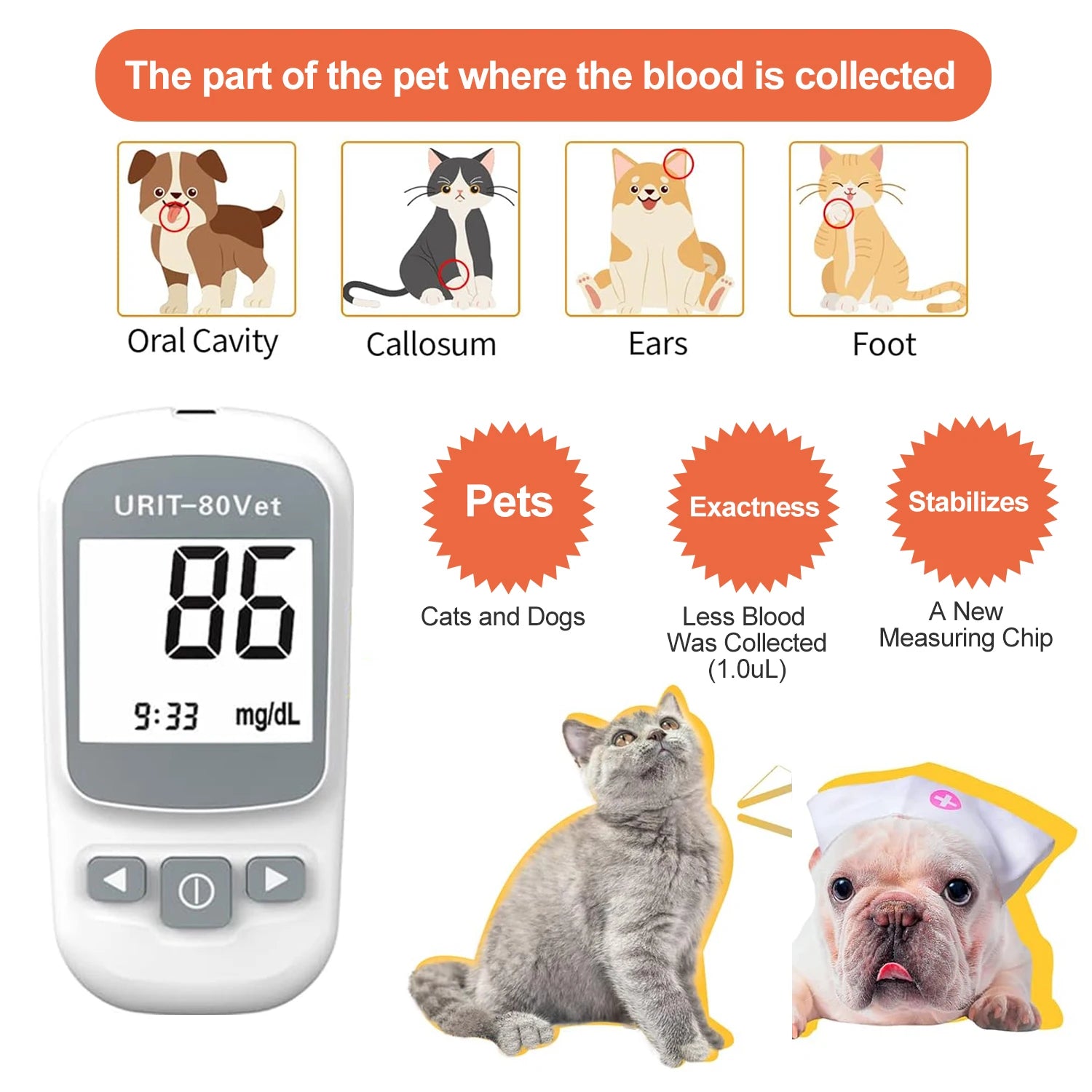 Pet Blood Glucose Monitor Kit for Dogs & Cats - Pain-Free No-Coding System