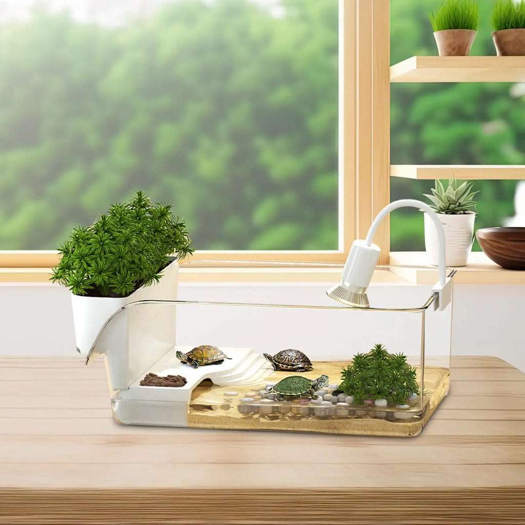 Transparent Turtle Tank with Basking Area — All-in-One Terrarium for Turtles & Crabs