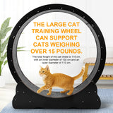 43-Inch Cat Exercise Wheel — Silent Freestanding Indoor Running Wheel