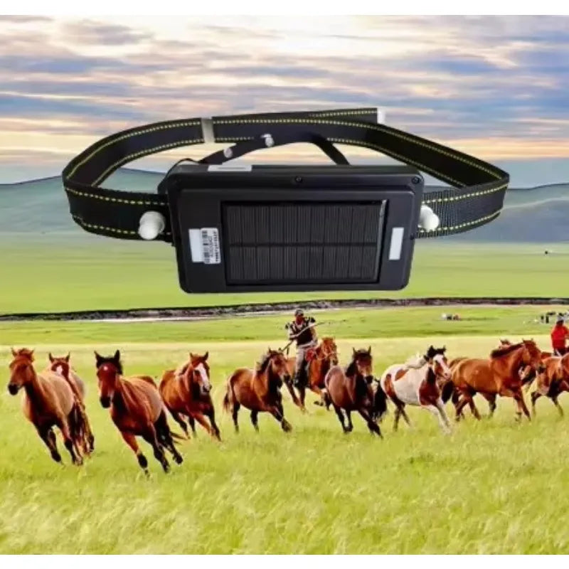 4G Solar GPS Collar Tracker for Livestock & Cattle with 20,000mAh Battery - IP67 Waterproof